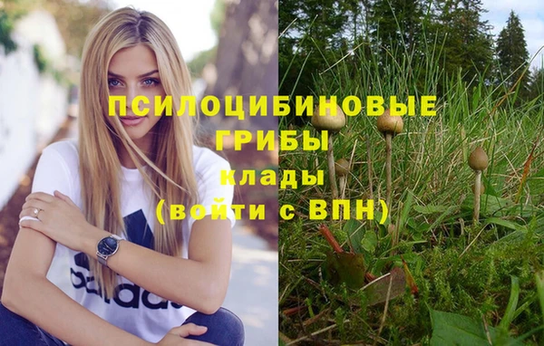 альфа пвп Вязьма