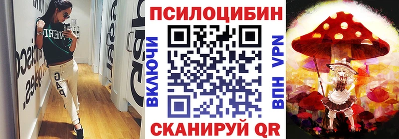 закладка  Гагарин  Псилоцибиновые грибы Cubensis 