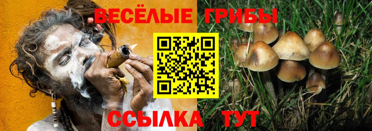 Псилоцибиновые грибы мицелий Гагарин