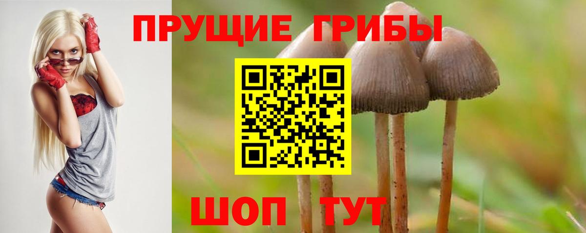 Псилоцибиновые грибы мицелий  Вход с VPN  Гагарин 